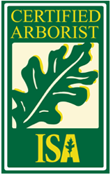 ISA-certified-arborist-raleigh-north-carolina-tree-service-pruning